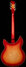 Rickenbacker 1993/12 Plus, Fireglo: Full Instrument - Rear