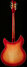 Rickenbacker 360/12 C63, Fireglo: Full Instrument - Rear