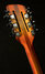 Rickenbacker 360/12 Limited Edition, Satin Autumnglo: Headstock - Rear