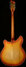 Rickenbacker 360/12 Limited Edition, Satin Autumnglo: Full Instrument - Rear