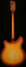 Rickenbacker 360/12 Limited Edition, Satin Autumnglo: Full Instrument - Rear