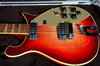 Rickenbacker 660/12 , Amber Fireglo: Free image