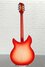 Rickenbacker 360/12 C63, Fireglo: Full Instrument - Rear