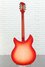 Rickenbacker 360/12 C63, Fireglo: Full Instrument - Rear