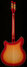 Rickenbacker 360/6 , Fireglo: Full Instrument - Rear