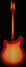 Rickenbacker 360/6 , Fireglo: Full Instrument - Rear