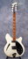 Rickenbacker 360/6 BH BT, White: Full Instrument - Front