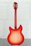 Rickenbacker 360/12 C63, Fireglo: Full Instrument - Rear