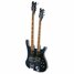 Rickenbacker 4080/46 Doubleneck, Azureglo: Free image