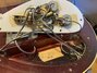 Rickenbacker 4003/4 , Burgundy: Close up - Free2