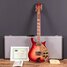 Rickenbacker 660/12 TP, Fireglo: Full Instrument - Front