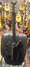 Rickenbacker 325/12 V63, Jetglo: Full Instrument - Rear