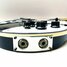 Rickenbacker 620/6 , Jetglo: Close up - Free