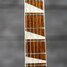 Rickenbacker 620/6 , Fireglo: Neck - Front
