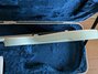 Rickenbacker 620/6 , Blue Boy: Free image
