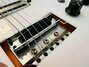 Rickenbacker 425/6 , Fireglo: Close up - Free
