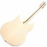 Rickenbacker 330/6 , Mapleglo: Full Instrument - Rear