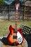 Rickenbacker 360/12 , Fireglo: Full Instrument - Front