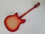 Rickenbacker 360/6 , Fireglo: Full Instrument - Rear