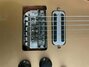 Rickenbacker 450/6 Combo, Fireglo: Close up - Free2