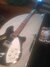 Rickenbacker 360/6 , Jetglo: Full Instrument - Front