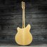 Rickenbacker 360/6 , Mapleglo: Full Instrument - Rear