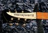 Jun 2018 Rickenbacker 325/6 C64, Jetglo: Headstock