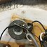 Rickenbacker 4001/4 Mod, Mapleglo: Free image