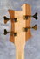 Rickenbacker 4004/4 Cii, Mapleglo: Headstock - Rear