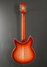 Rickenbacker 1993/12 Plus, Fireglo: Full Instrument - Rear