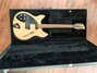 Rickenbacker 330/6 BH, Mapleglo: Full Instrument - Front