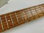 Rickenbacker 330/6 BH, Silver: Neck - Front