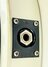 Rickenbacker 330/6 BH, Silver: Close up - Free