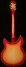 Rickenbacker 1993/12 Plus, Fireglo: Full Instrument - Rear