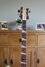 Rickenbacker 4003/4 , Mapleglo: Neck - Front