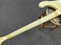 Rickenbacker 4001/4 BT, White: Neck - Rear