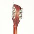Rickenbacker 360/12 , Fireglo: Headstock - Rear