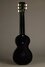 Rickenbacker B/6 , Black: Full Instrument - Rear