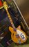 Rickenbacker 360/12 , Natural: Neck - Front
