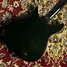 Rickenbacker 320/6 Mod, Jetglo: Body - Rear