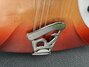Rickenbacker 330/12 , Fireglo: Close up - Free2