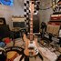 Rickenbacker 4001/4 , Mapleglo: Full Instrument - Front