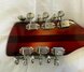 Rickenbacker 360/12 V64, Fireglo: Headstock - Rear