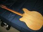 Rickenbacker 360/6 BT, Mapleglo: Full Instrument - Rear