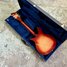 Rickenbacker 350/6 Liverpool, Fireglo: Full Instrument - Rear
