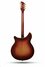 Rickenbacker 365/6 f hole, Fireglo: Full Instrument - Rear