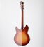 Rickenbacker 360/12 V64, Fireglo: Full Instrument - Rear