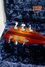 Rickenbacker 360/6 , MonteBrown: Headstock - Rear