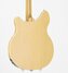 Rickenbacker 360/6 , Mapleglo: Body - Rear