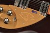 Rickenbacker 330/6 75th Ann, DCMetallic: Free image